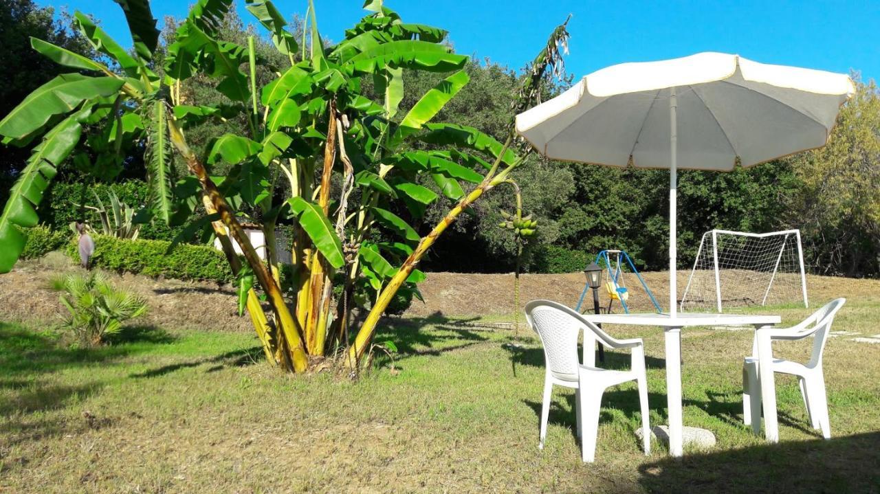 Villa Mimosa Tropea 리카디 외부 사진