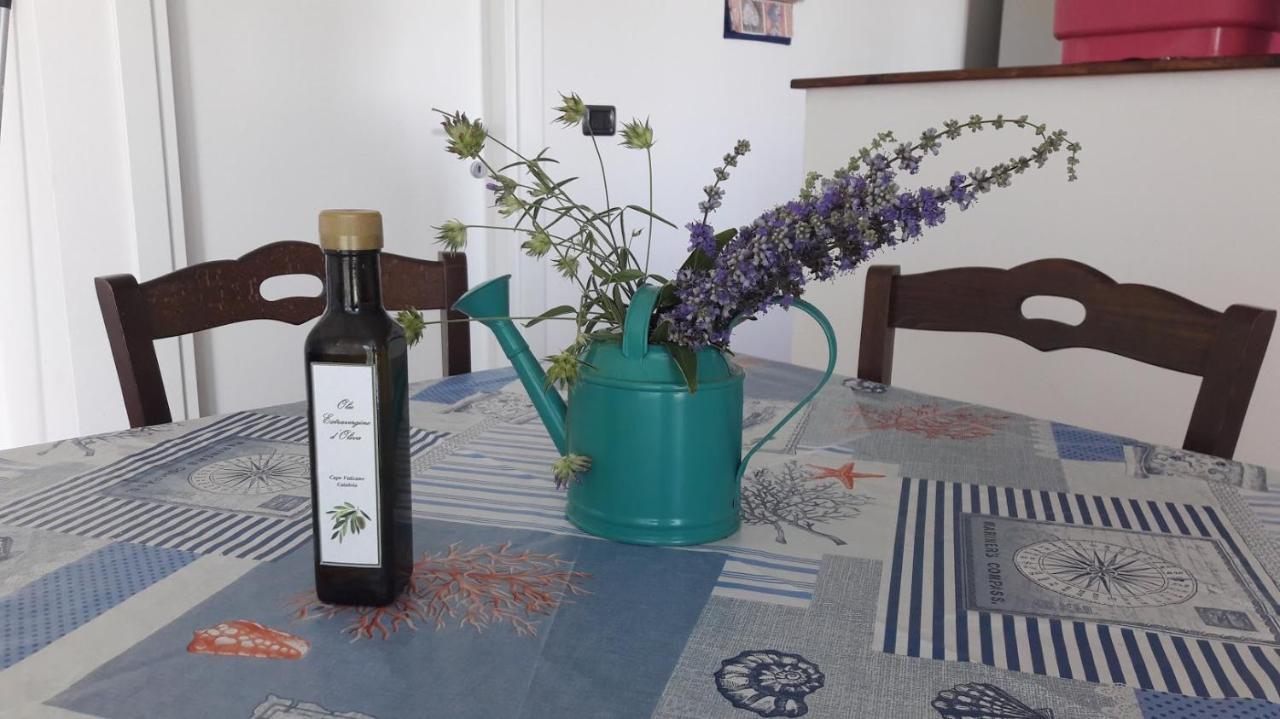 Villa Mimosa Tropea 리카디 외부 사진