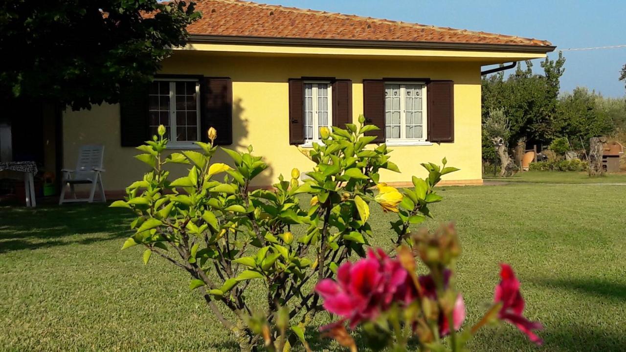 Villa Mimosa Tropea 리카디 외부 사진