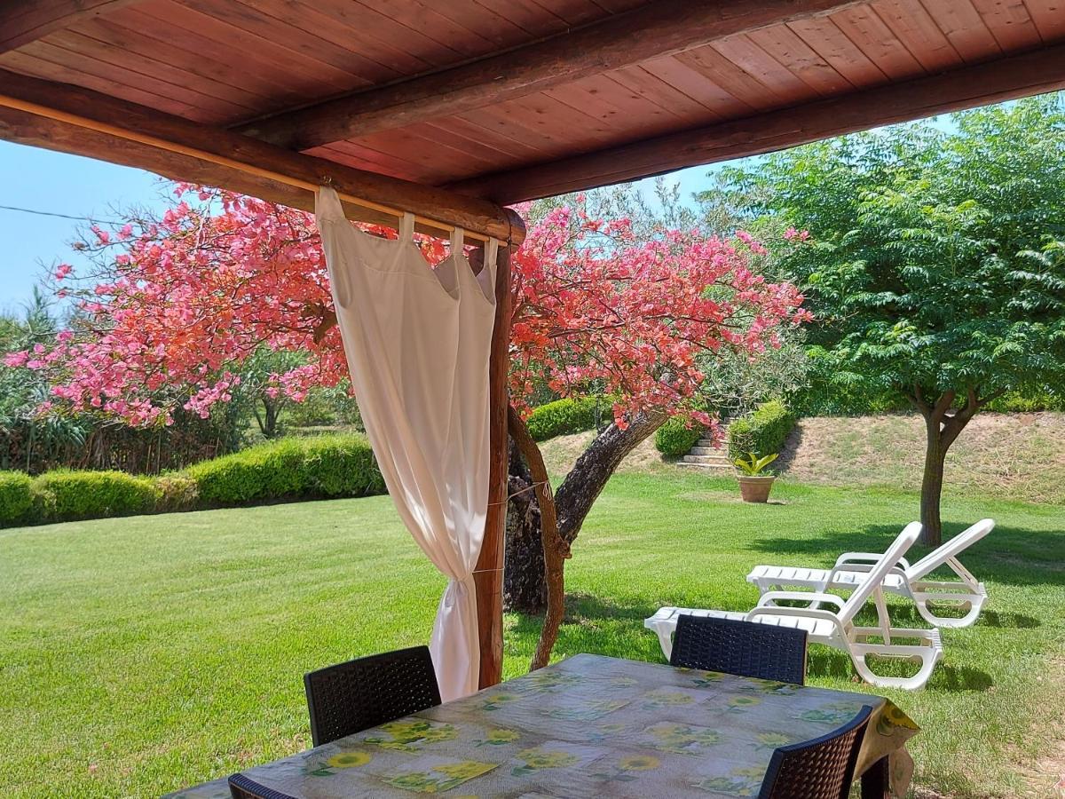 Villa Mimosa Tropea 리카디 외부 사진