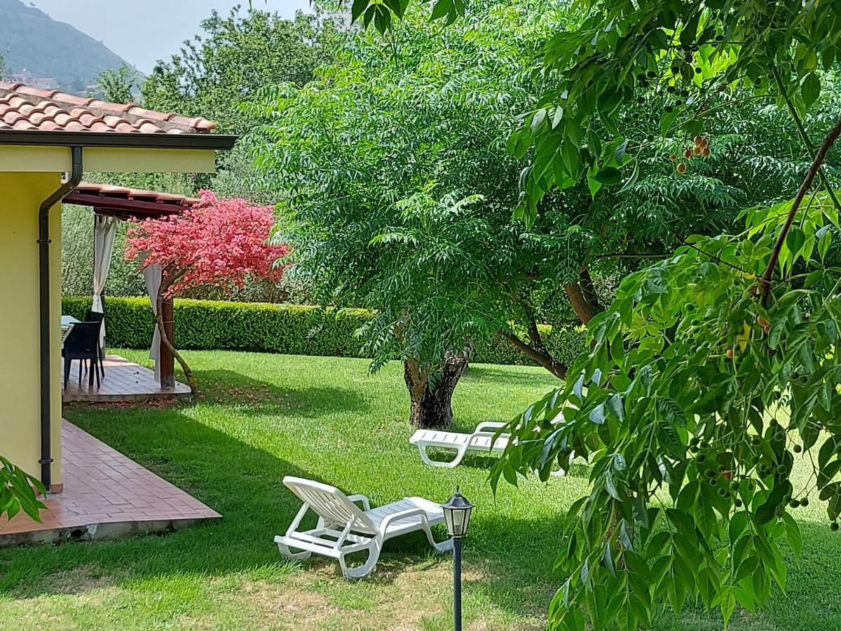 Villa Mimosa Tropea 리카디 외부 사진